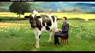 TALENT - NET - VACA