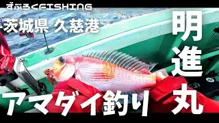 【アマダイ釣り　明進丸】　茨城県　久慈港　2024/03月中旬