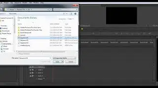 Adobe Premiere Pro .Mov File Import Error