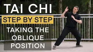 Tai Chi Form #11   taking the oblique position