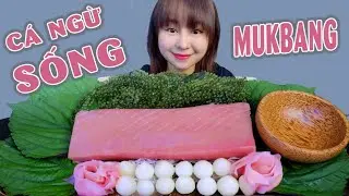 MUKBANG TẢNG C&Aacute; NGỪ SỐNG SI&Ecirc;U TƯƠI NGON | LIBI TV - LINHASMR VIETNAM