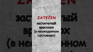 💭 Сербское слово, которое описывает состояние | ZATEČEN