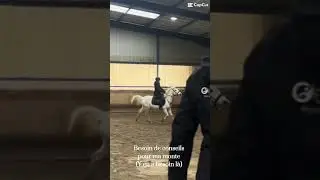 Avec tout type de poneys et js pour mes talons 😞😞