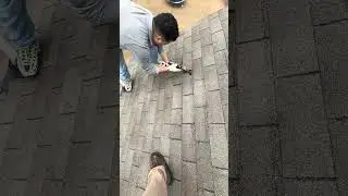 IMG 8697