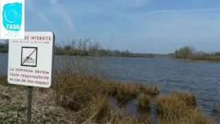 Lutter contre la prolifération des algues