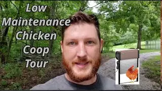 Low maintenance chicken coop