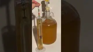 How To Use a Hydrometer To Calculate ABV
