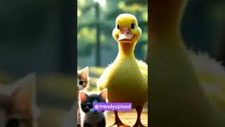 duck parenting kittens #storytime #cat #cute #ducky #friendship #animals #cutecat #kids #kidsstory