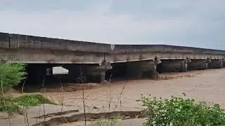 Breaking NewsAIIMS Bridge Damaged, Traffic Suspended