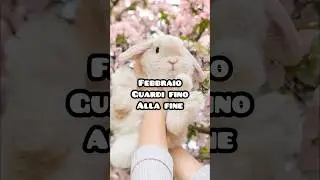 IL TUO MESE=TU CONIGLIO#rabbit#viral#zodiac#month#trend#bunny#roby#pet#cute