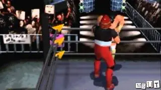 Powerbomb off the Ring Apron | WCW/NWO Revenge