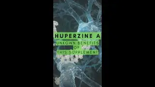 The Single Best Supplement For Cognition