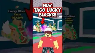 I FILLED MY BASE WITH TACO LUCKY BLOCKS!! #STEALABRAINROT