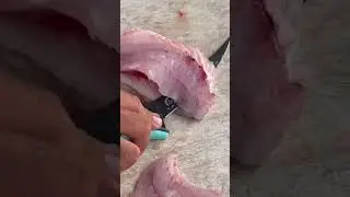 Putting the Danco knives to work! #skywaymisfits #HubbardsMarina #filletfish #fillet #dancopliers