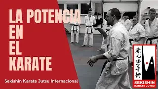 La potencia en el Karate