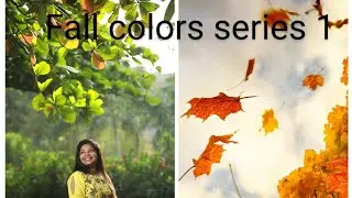 Beautiful Autumn / Fall colors  -  series 1