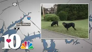Knox Co. man attacked by dogs worried about their return to his neighborhood