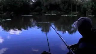 tollerton ponds