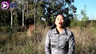 Fun things to do in Central Florida