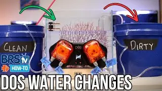 Automate  Reef Tank Water Changes with a Neptune DOS QuietDrive