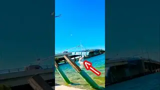 Всегда преклоняйтесь перед королями 🎣 #ловлятарпона #рыбалка #рыбалкавоФлориде #рыба #видеорыбалки