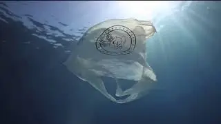What A Wonderful World: Climate Change Awareness Music Video