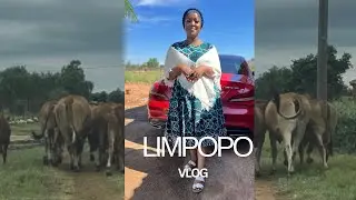 LIMPOPO VLOG: Becoming Mrs | Lobola Negotiations | Family Special day