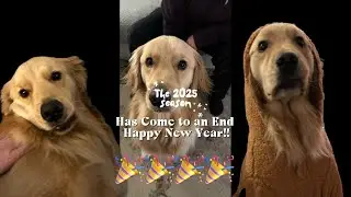 The 2025 season is over🎉