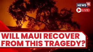 Hawaii Fires LIVE Stream | Maui Wildfire Death Toll Rises To 106 | Maui Fires LIVE | Hawaii Wildlife