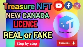 Treasure NFT Canada MSB License Real or Fake ? | How to Check Treasure NFT MSB Canada Licence