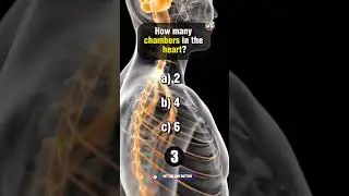 Ultimate Anatomy Quiz Part 8 #anatomyquiz #anatomy #science #sciencquiz