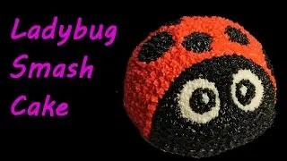 Ladybug Smash Cake
