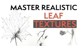 How to Draw Realistic Leaf Textures Step by Step