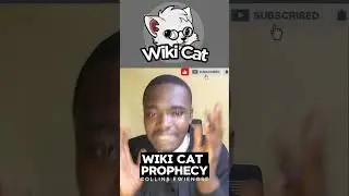 WIKI CAT COIN PROPHECY || ATTACK, STRENGTH, BULLRUN || CRYPTO PROPHETIC INSIGHT || COLLINS EWIENOSE 