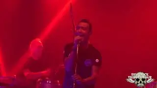 COVERPLAY TRIBUTE COLDPLAY - A HEAD FULL OF DREAMS (SKULLROCK TRIBUTE 2022)