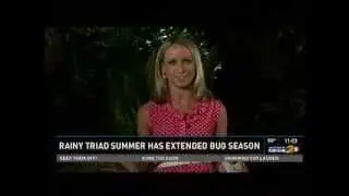 Scott McNeely on WFMY About Ant Control in Winston-Salem and Greensboro