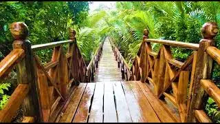 Dhani Nallah Mangrove Nature Walkway and Beach when in North and Middle Andaman | WTAB | @Mitali De