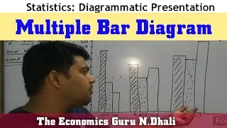 Multiple Bar Diagram l Diagrammatic Presentation l Statistics