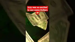 My sons First Dollar encounter got him so excited 😆 #baby  #babyboy #excitement #unboxing #currency