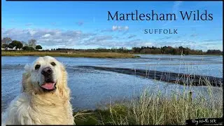 Martlesham Wilds｜Suffolk｜UK｜Virtual Walk｜Dog Walking Route｜4K