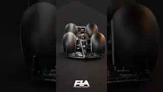 W14 during the Brazil GP 🥴