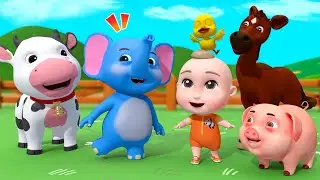 Old MacDonald Had a Farm &ndash; The Complete Collection | NoaCoco Nursery Rhymes for Kids