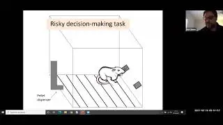 Genetics of Risk Taking Nicholas Simon