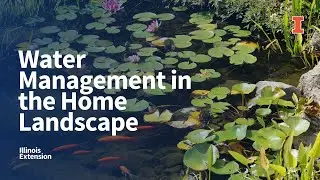Water Management in the Home Landscape
