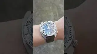 San Martin SN0068G Mother of perl dial on suede leather strap #sanmartin #aliexpress #wristcheck
