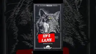 #edgarallanpoe #ilgattonero #booktok #raccontihorror