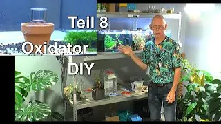 Oxidator DIY und was f&uuml;ttere ich den Garnelen mit Pflanzen&uuml;berblick in der Botanik