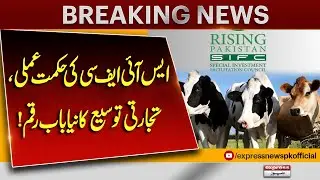 SIFC Ka Business Expansion Plan | Nayi Opportunities | Breaking News | Pakistan News