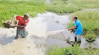 Amazing Fish Hunting with Cast Net by Local Fisherman - Best River Cast Fishing