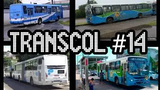 TRANSCOL #14